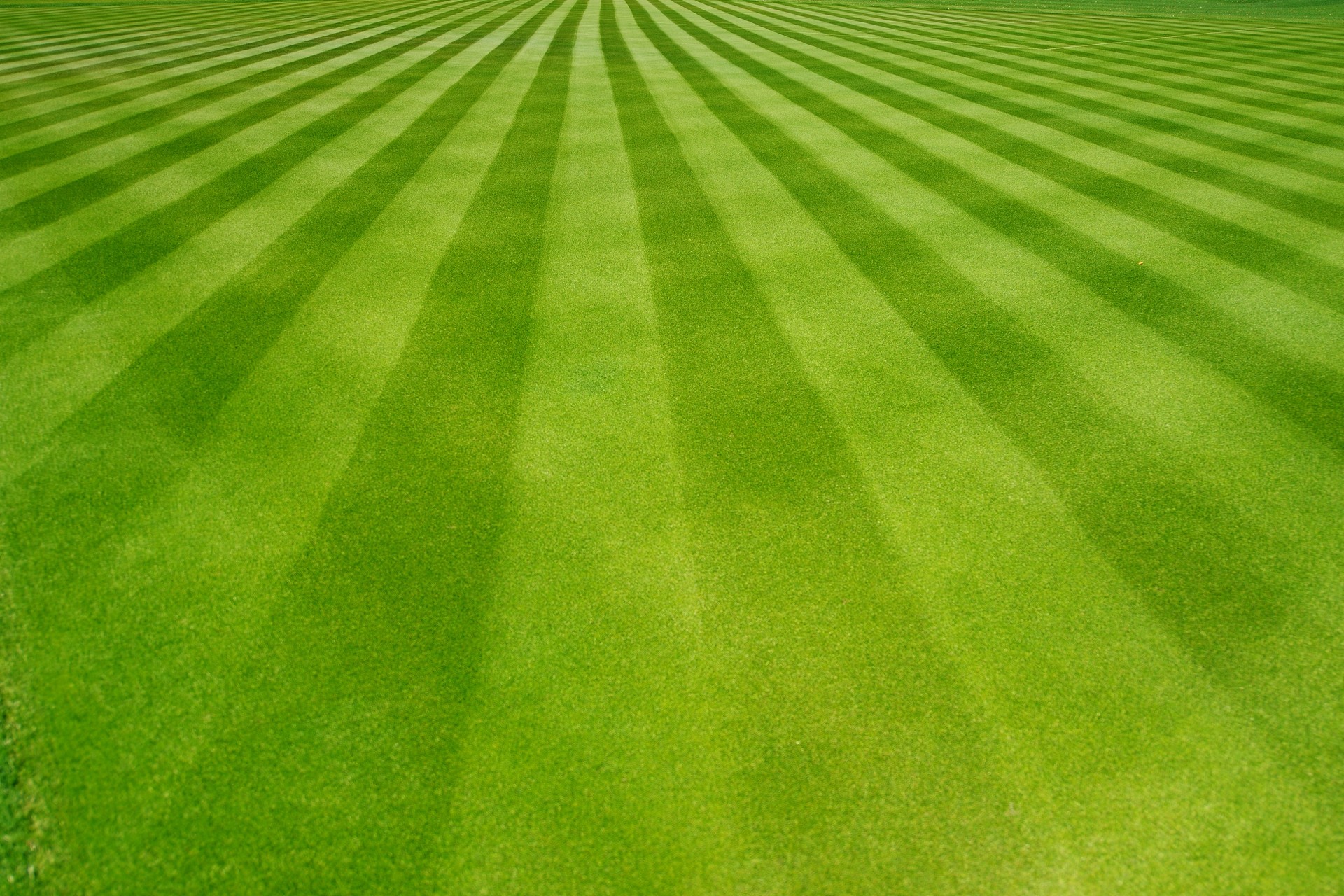 Perfectly striped freshly mowed garden lawn