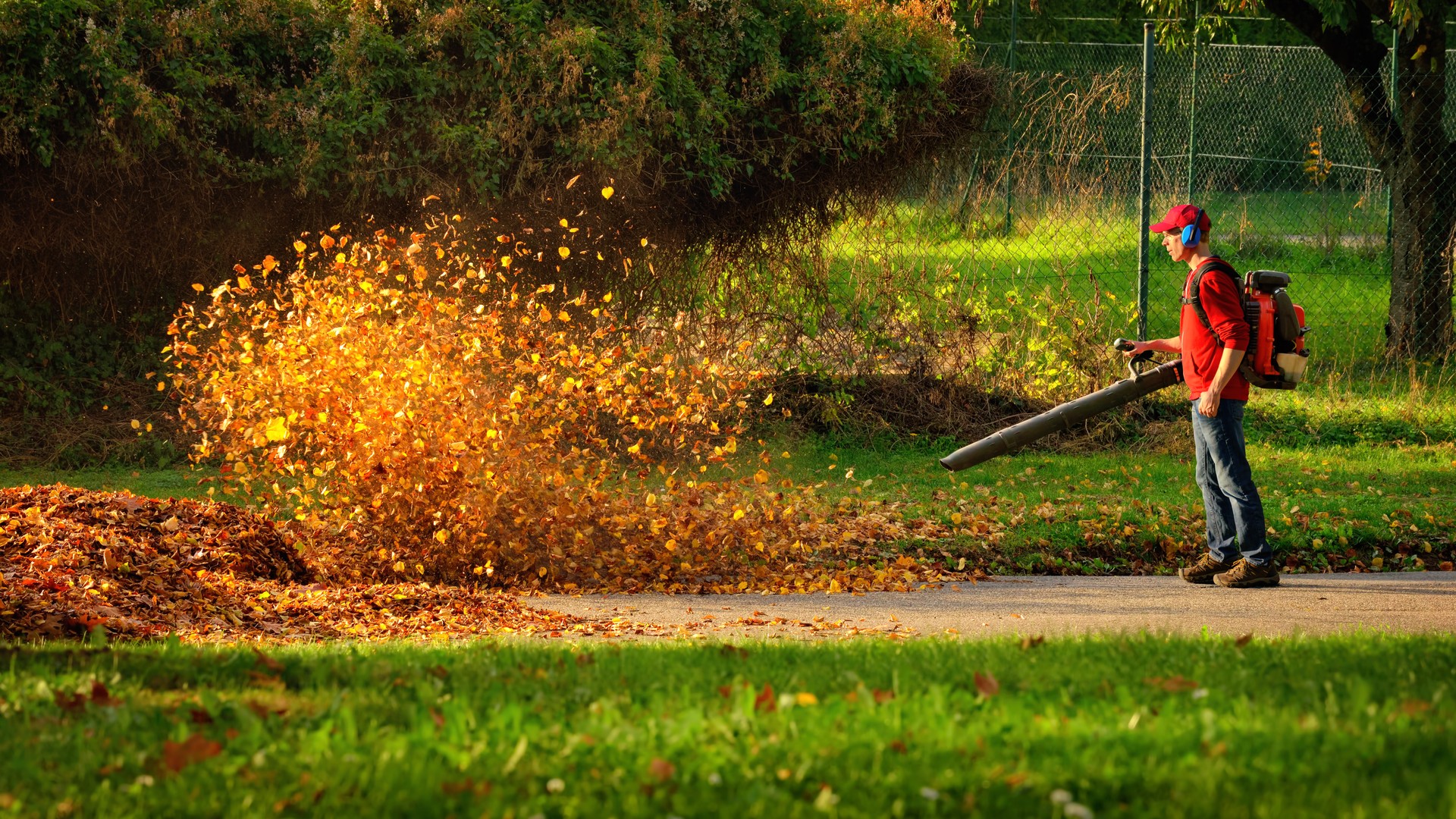 Heavy duty leaf blower in action